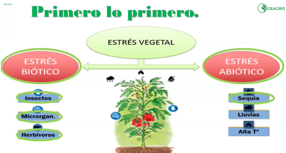 TOXICIDAD Y TOXICOLOGÍA, DEFINICIONES